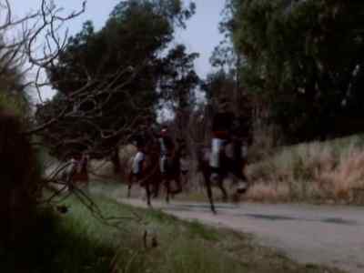 [GALLOPING] - The Erotic Adventures of Zorro