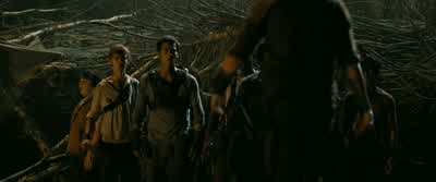 Gally... This is all you, Thomas! Look around! Back off, Gally! It's not Thomas' fault! You heard wh - The Maze Runner