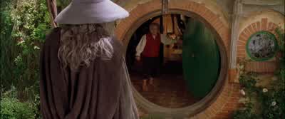 Gandalf? - The Lord of the Rings: The Fellowship of the Ring