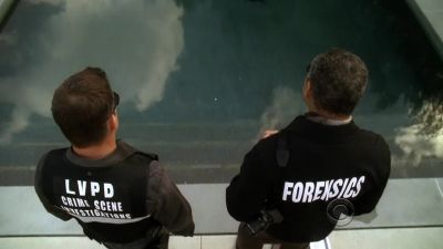 Gardener found the body. - CSI: Crime Scene Investigation