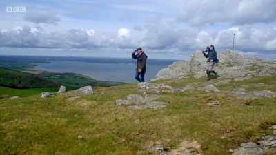 Gareth is confident the herd
stallion will be nearby. - Wales: Land of the Wild