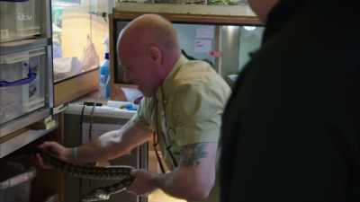 GARY CHUCKLES - Britain's Tiger Kings - On the Trail with Ross Kemp