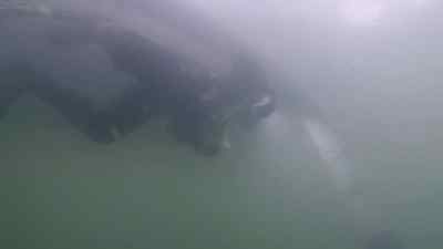 Gary just had a good dive, - Bering Sea Gold