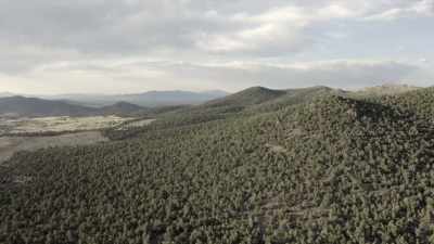 Gary wouldn't let us bring
enough food or water, - Horror in the High Desert