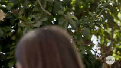 -[gasping, groaning]
-[Bree grunts] - A Daughter's Deception