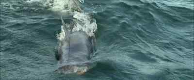 (Gasping) - USS Indianapolis: Men of Courage