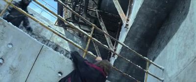 (GASPS) - Black Widow