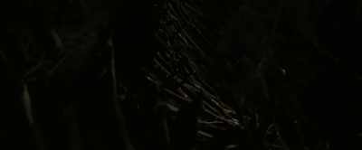 [Gasps] - Daddy's Head