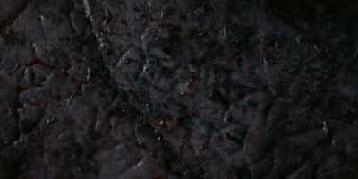 [gasps] - Barkskins