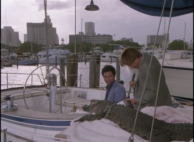 [ Gasps ] - Miami Vice