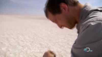 [ GASPS ] - Man vs. Wild