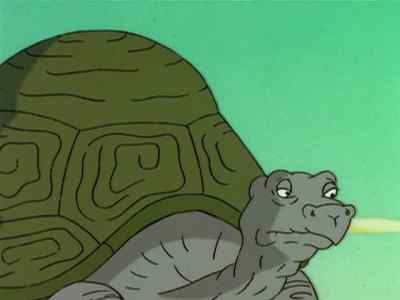 ( gasps ) - The Wild Thornberrys