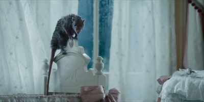 (GASPS) - Lady and the Tramp