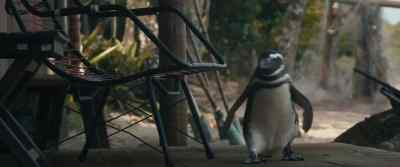 [gasps] Where are you going? - My Penguin Friend