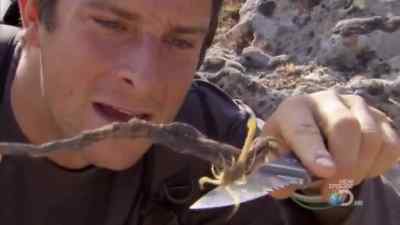 [ GASPS ]
WHOO! - Man vs. Wild