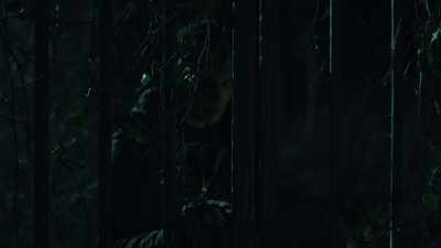 (GATE SQUEAKING) - Absentia