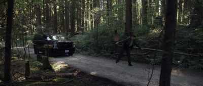 [gate squeaks] - Crawlspace