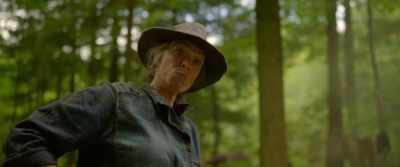 Gather from your dishevelment
and woeful aspect, - Willow