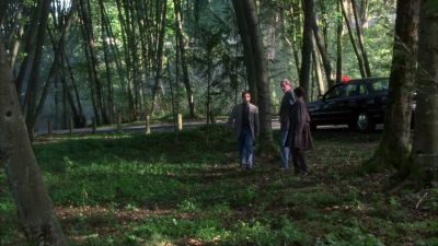 Gather up all these leaves for trace evidence - Wrongfully Accused