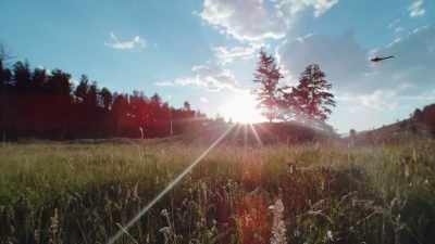 Gathering from distant horizons - Epic Yellowstone