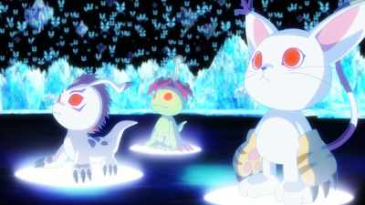 Gatomon? Gomamon, Palmon? - Digimon Adventure: Last Evolution Kizuna