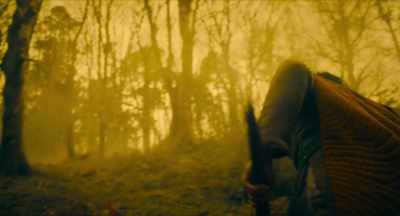 (GAWAIN GRUNTS) - The Green Knight