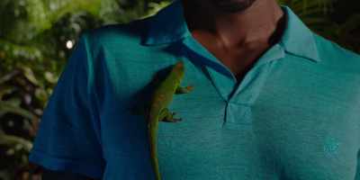 -[gecko clicking]
-[gasps] - Resort to Love