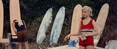 Gee all I wanted to do is surf That's all - Gidget