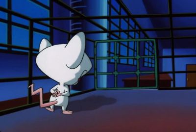 GEE BRAIN WHAT ARE WE GOING TO DO NOW - Pinky and the Brain