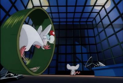 Gee, Brain, what do you
wanna do tonight? - Animaniacs