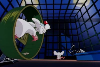 GEE BRAIN - Pinky and the Brain