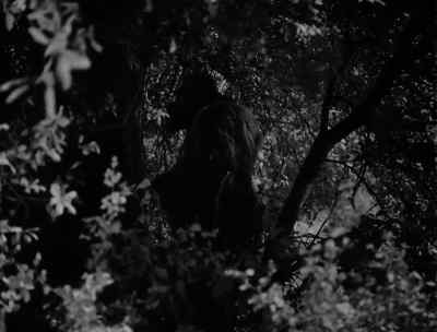 Gee, look fellas, do ya see somethin'? - The Ape