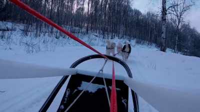 Gee is right, Haw is
going in a left direction. - Life Below Zero: Next Generation