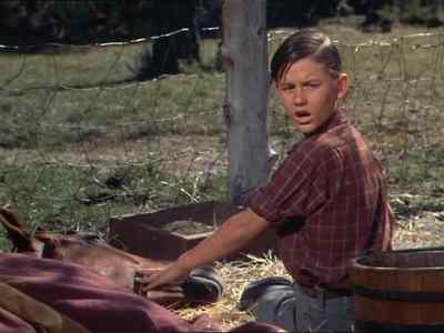 Gee, she was pretty. - My Friend Flicka