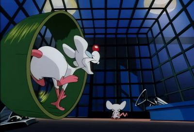 GEE, WHAT DO YOU
WANT TO DO TONIGHT? - Animaniacs