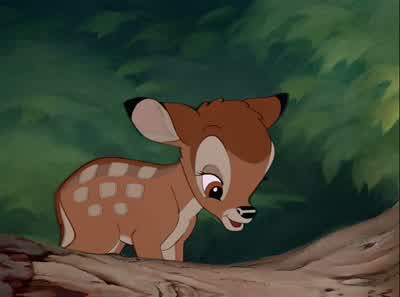 Gee whiz, what happened that time? - Bambi