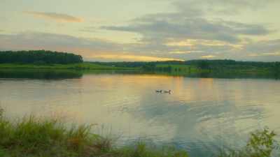 [geese honking]
[gentle music] - Southern Gospel