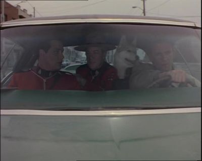 Geiger - Due South