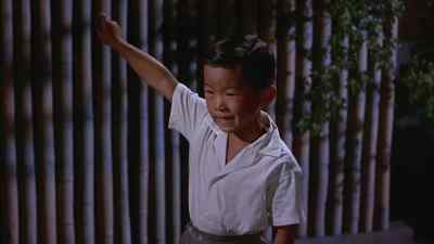 Geisha Yeah I know what geisha means - The Geisha Boy