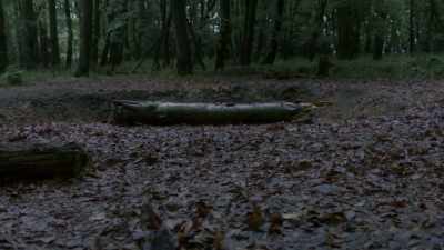 Gemma, I'll make it up to you. - Blood Actually: A Murder, They Hope Mystery