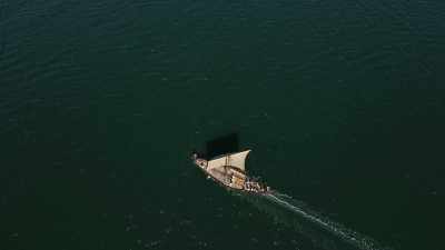 Genetic analysis shows - Wild Ways of the Vikings