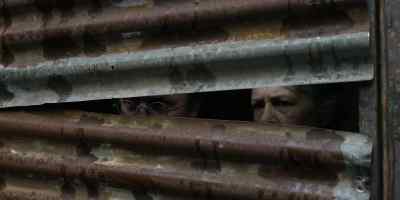 Genet's trying to make
a stronger breed. - The Walking Dead: Daryl Dixon