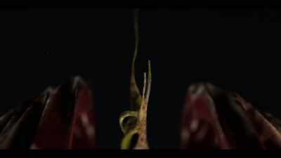 [gentle contemplative music] - The Commons
