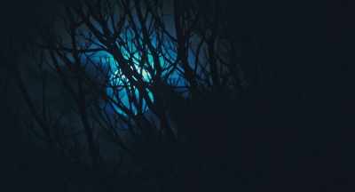 (Gentle, foreboding
music) (Crickets chirping) - Haunted Valley