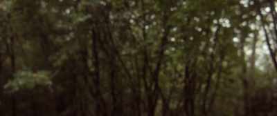 (gentle music)
(birds chirping) - The Highwayman