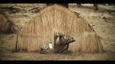 (gentle music continues) - The Emu War