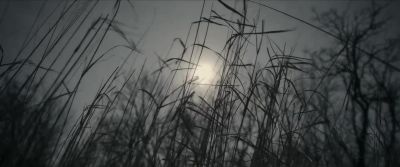 -[gentle music playing]
-[birds singing] - The Last Kingdom: Seven Kings Must Die