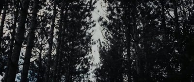 (gentle music) - Deep Woods