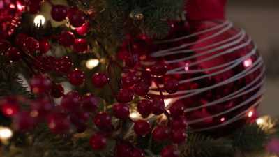 (gentle uplifting music) - A Christmas of Wonders
