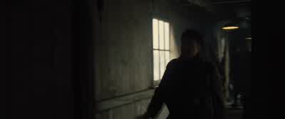 Gentlemen! - War Horse